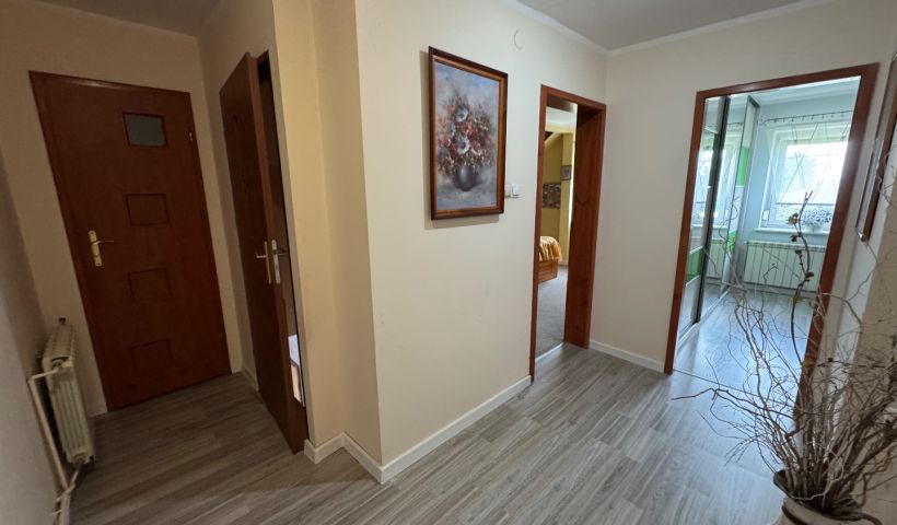 Chojęcin - Parcele - ranczo a może gospodarstwo?