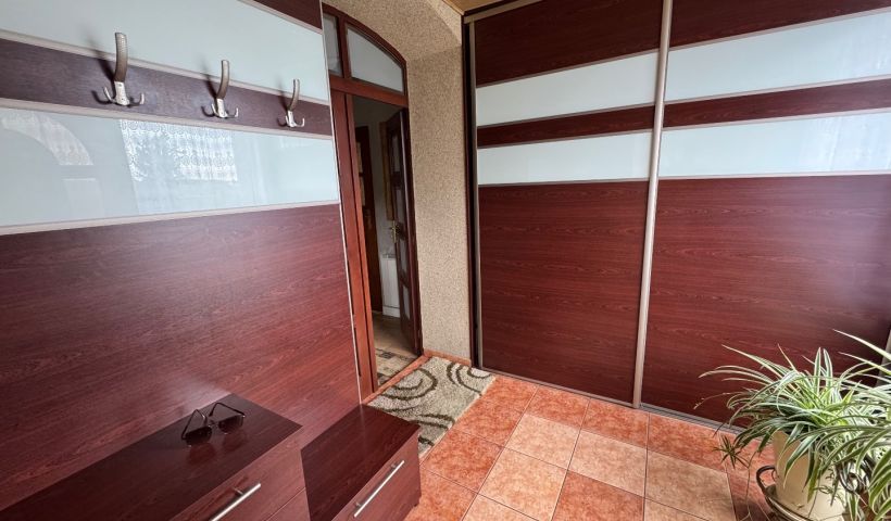 Chojęcin - Parcele - ranczo a może gospodarstwo?