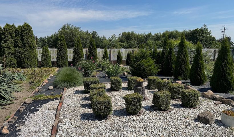 Chojęcin - Parcele - ranczo a może gospodarstwo?