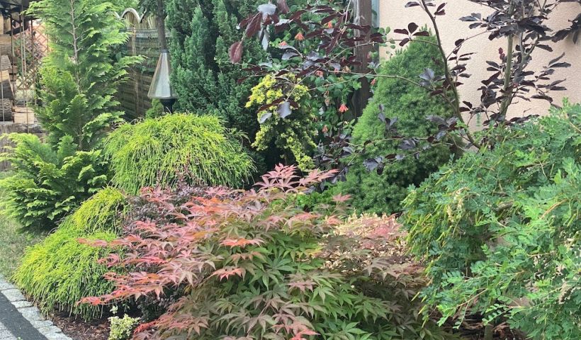 Bralin - dom dla rodziny